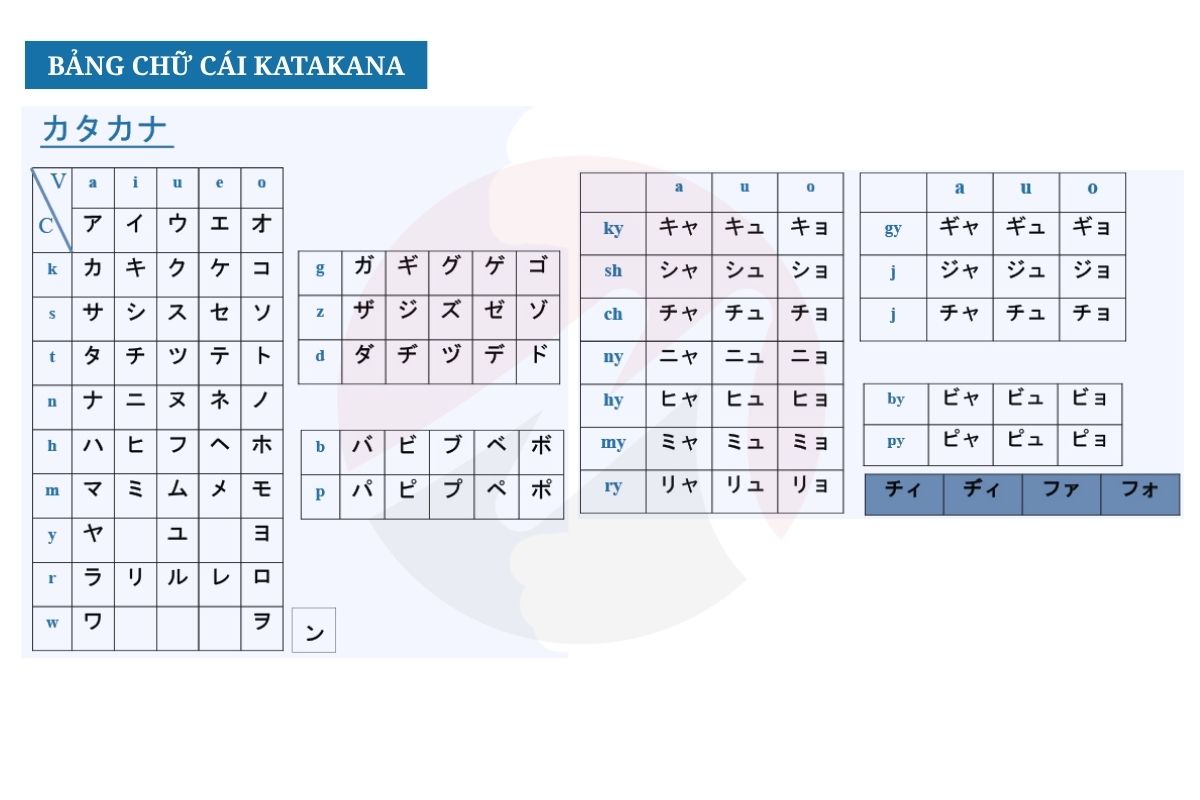 Lộ trình học tiếng Nhật N5 hiệu quả tại VTI Mirai