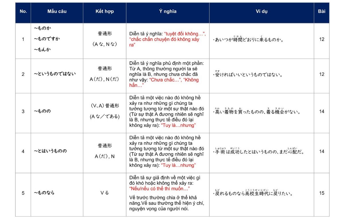 Các mẫu ngữ pháp N2 với 「~もの」